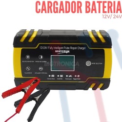 Cargador de Batería 12V-24V 150Ah