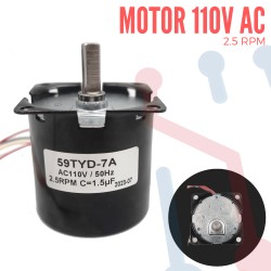 Motor Síncrono 110V 2.5RPM 80Kg/cm