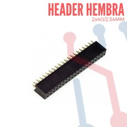 Header Hembra 2x40 pines