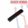 Header Hembra 2x40 pines