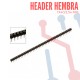 Header Hembra Redondo 2.54mm x 40 Pines