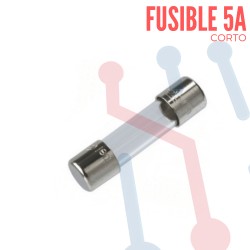 Fusible Corto en Vidrio 20x5mm 5A