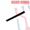 Header Hembra 2mm x 40 pines