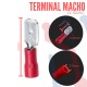 Terminal Macho Roja Aislada AWG 22-16