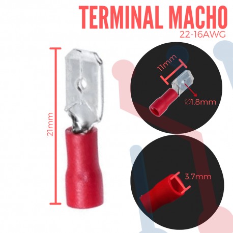 Terminal Macho Roja Aislada AWG 22-16