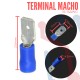 Terminal Macho Azul Aislada AWG 16-14