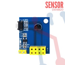 Módulo Sensor de Temperatura y Humedad DS18B20