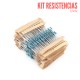 Kit de Resistencias de Precisión 1/4W 600PCS