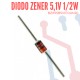 Diodo Zener 5,1V 1/2W (BZX55B5V1) (10 Pcs)