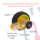 Soporte Mecánico Motorreductor