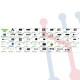 Kit Educativo Super Starter para Micro:bit