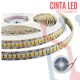 Cinta LED 2835 Blanco Frio 12VDC 240 Led's (5 Metros)