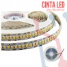 Cinta LED 2835 Blanco Frio 12VDC 240 Led's (5 Metros)