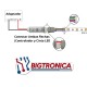 Cinta Led RGB 5050 IP20 12VDC 5 Metros